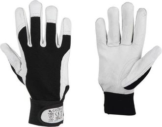 cofan Cofan Blister G. Vacuno Dorso Tela + Velcro T-8 Caja 12 Unid