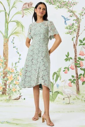 Maggy London Floral Lace Midi Dress In Green/cream