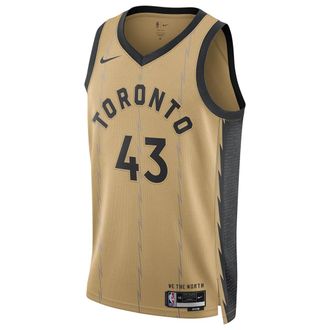 Nike Dri-FIT NBA Swingman Jersey 2023/24 City Edition Toronto Raptors Pascal Siakam DX8520-746