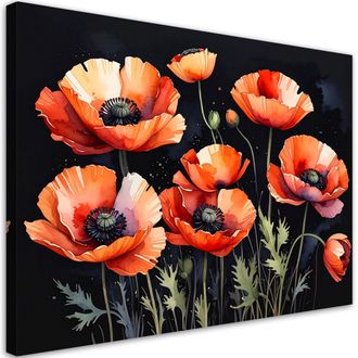 Feeby Cuadro Sobre Lienzo Amapolas De Campo Flores Sobre Fondo Negro 100x70