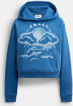 Coach Airbrush Hoodie
