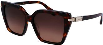 Ferragamo Bruine Acetaat Zonnebril