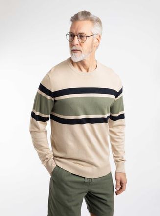 Weird Fish Ryker Stripe Crew Neck Jumper in Oyster at Nordstrom, Size Xxx-Large