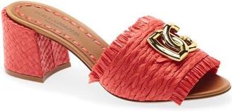 Dolce & Gabbana Raffia Fringe Slide Sandal in 8L302 Rosso/sabbia at Nordstrom, Size 38.5