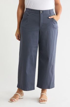 Wit & Wisdom Wyatt Skyrise Crop Wide Leg Twill Pants in Shadow at Nordstrom, Size 14W