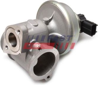 OEM V&aacute;lvula Egr Ft60224 R&aacute;pida