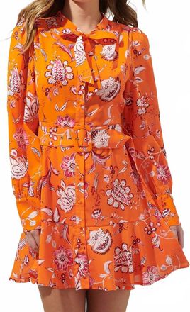 Sugarlips Cosmo Floral Flare Mini Dress In Orange Multi