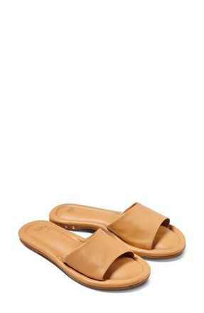 beek Songlark Slide Sandal in Beach at Nordstrom, Size 10