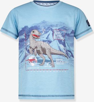 Salt And Pepper Jungen T-Shirt mit T-Rex-Applikation SALT AND PEPPER graublau