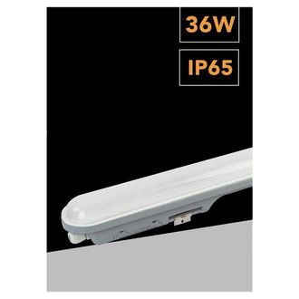 Trade Shop Trade Shop Traesio - Trade Shop - Plafoniera Led Per Esterno Neon Tubo 36w 120cm Impermeabile Ip65 Luce 6500k Lg-12