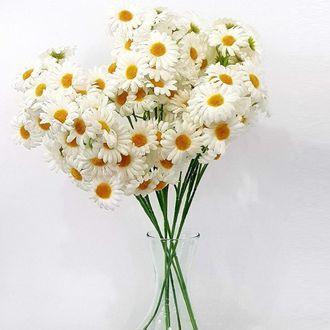 Trade Shop Trade Shop - Margherite Bianche 6 Rami 5 Pezzi Margherita Finte H55cm Artificiali Decorazioni