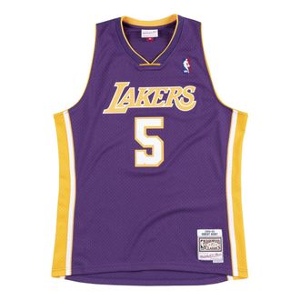Mitchell & Ness x NBA Los Angeles Lakers 1999-00 Swingman Jersey Robert Horry 5 SMJYGS18448-LALPURP99RHO