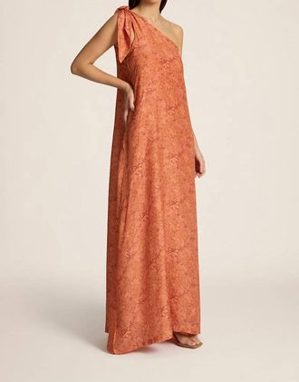 Hannah Art Wear Helena Dress In Spice