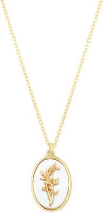 Set & Stones Katrina Birth Flower Necklace in Gold /December at Nordstrom