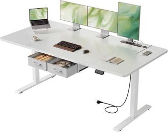 OEM Hlonone Escritorio Elevable El&eacute;ctrico 160 X 80 Cm, Mesa Puertos Usb-c, Mesa Regulable En Altura Con 2 Cajones Extra&iacute;bles, Blanco
