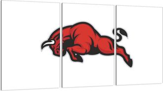 OEM Placa Protectora De Vidrio Para Estufa 3x30x52