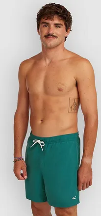 O'Neill Vert 16 Boardshorts groen