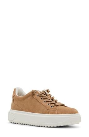 Blondo Greer Waterproof Sneaker in Almond Suede at Nordstrom, Size 7.5