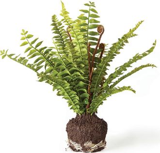 Napa Home & Garden Boston Fern Artificial Drop-In 11 in Green at Nordstrom