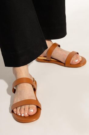 Casadei Slides Florence, Womens, Brown