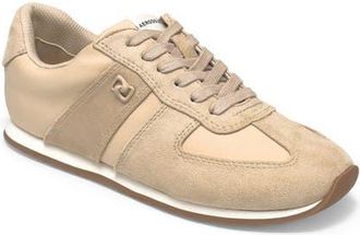 Aerosoles Jett Sneaker in Stone at Nordstrom, Size 8.5