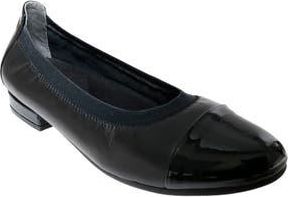 David Tate Nicole Cap Toe Flat in Black at Nordstrom Rack, Size 6.5