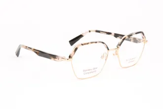 Ana Hickmann Optical Frame HI1245 G21 55