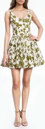 Badgley Mischka Floral Cotton Fit & Flare Minidress in Green Multi at Nordstrom Rack, Size 14
