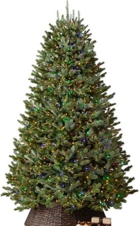 Balsam Hill BH Fraser Fir Pre-lit Artificial Tree in Color And Clear Led at Nordstrom, Size 7.5Ft