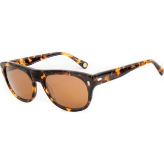 Belstaff MITCHUM-S201 Sunglasses in Brown
