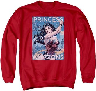 Gildan Justice League of America Princess Of The Amazons Adult Crewneck Sweatshirt