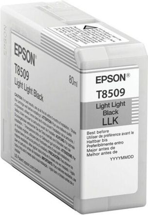 Epson Cartucho Impresora Epson C13t850900