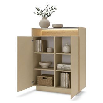Dmora Armario Halane, Aparador 4 Estantes, Puerta Batiente, 2 Puertas, 103x40x119h Cm Beige