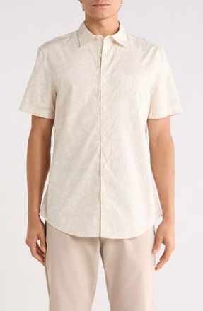 Nordstrom Short Sleeve Poplin Shirt in Ivory Mini Blooms at Nordstrom Rack, Size Xx-Large