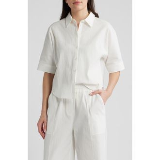 Bernardo Texture Dolman Shirt in Gardenia at Nordstrom, Size X-Small