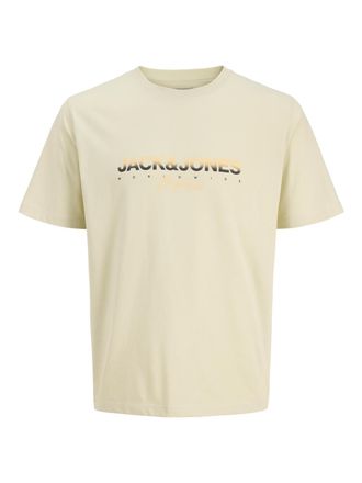 Jack & Jones Print-Shirt JACK & JONES JORCANGGU TEE SS CREW NECK FST, Herren, Gr. M, gr&uuml;n (celadon tint), Jersey, Obermaterial: 100% Baumwolle, bedruckt, regular f