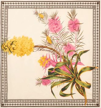Blumarine Scarves