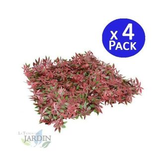 No Brand Set di 4 Giardino Verticale Arce 50 x 50 cm. Creano Ambienti di Grande Originalit&agrave; e Freschezza