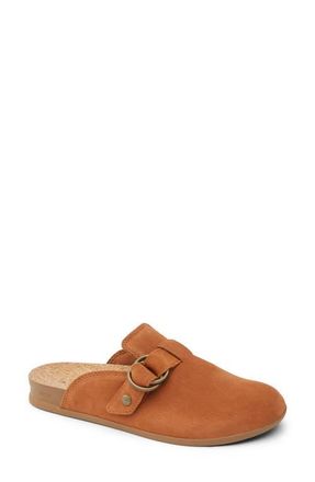 Reef Vista Serenity Clog in Cocoa Suede at Nordstrom, Size 8