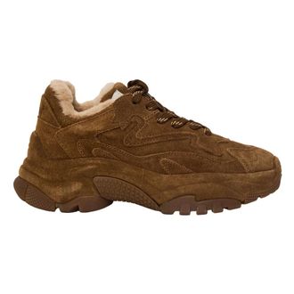 Ash Addict Bis Fur Sneakers - - Shoes - Donna - Marrone - 38 EU
