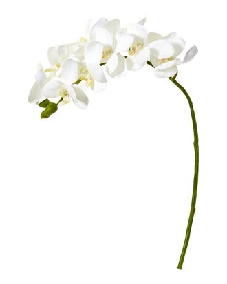 Nearly Natural Set Of 6 21In Phalaenopsis Orchid Artificial Flower
