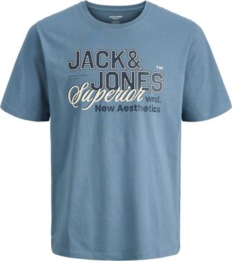 Jack & Jones Plus Size Rundhalsshirt JJELOGO TEE SS O-NECK 2 COL SS26 SN PLS, Herren, Gr. 4XL, blau mirage, Jersey, Obermaterial: 100% Baumwolle, JACK & JONES PLUSSIZE, Rund