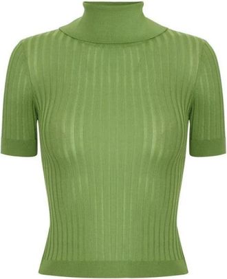 Elisabetta Franchi Sheer Knit Top - Dames - Coltruien - Groen - L - Polyester - Truien & Vesten
