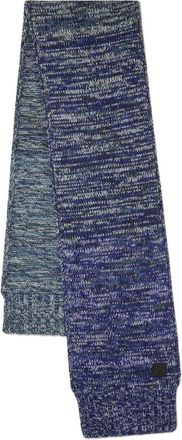Mulberry Ombre Degrade Scarf