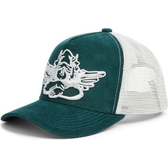 Boys Lie Go Birds Trucker Hat in Teal Multi at Nordstrom Rack