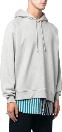 Sunnei Hoodies, male, Gray, L, Striped Cotton Hoodie with Drawstring