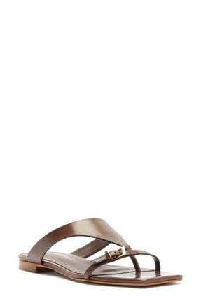 Schutz Tana Flat Flip-Flop in Root Brown at Nordstrom, Size 6.5