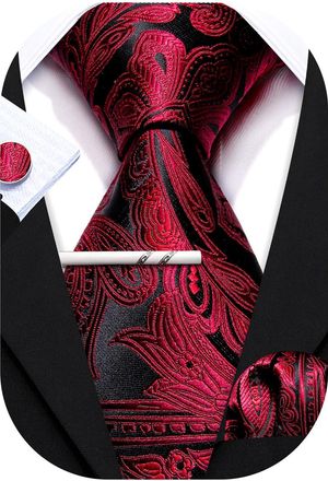 Barry.Wang Mens Tie Paisley Plaid Striped Floral Silky Necktie Pocket Square Cufflinks Clip Set Wedding Party Formal Business