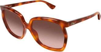 Chlo&eacute; Havana Copper Ch0389s Recycled Acetate Square Sunglasses