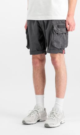 Alpha Industries Shorts ALPHA INDUSTRIES Crew Short, Herren, Gr. 29, Normalgr&ouml;ssen, grau (vintage grau), Obermaterial: 98% Baumwolle, 2% Elastan; Futter: 100% Baumwoll